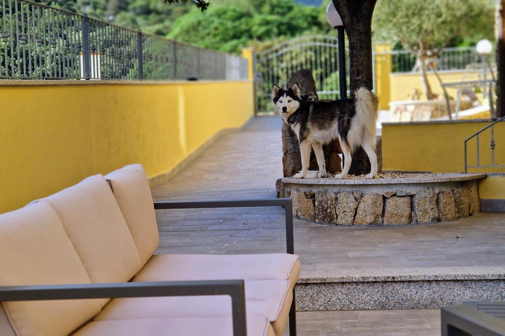Sa Mamma E Sole B&B Cala Gonone Zewnętrze zdjęcie